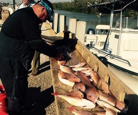 Reel thrills fishing charters (2025)
