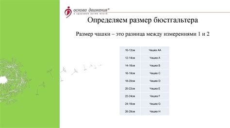 Экзопротезы молочной железы - презентация онлайн