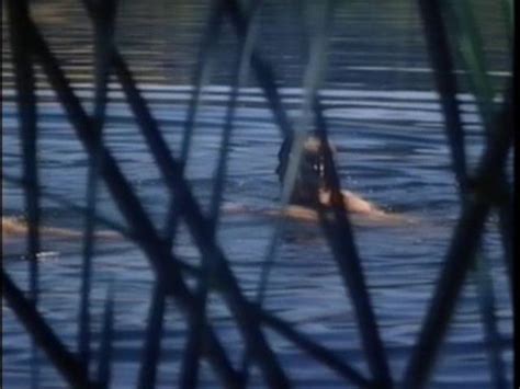 Naked Kathrine Baumann In Slashed Dreams