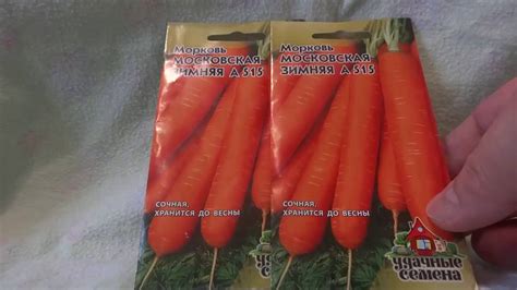 МОРКОВЬ (МОСКОВСКАЯ ЗИМНЯЯ А 515) - YouTube