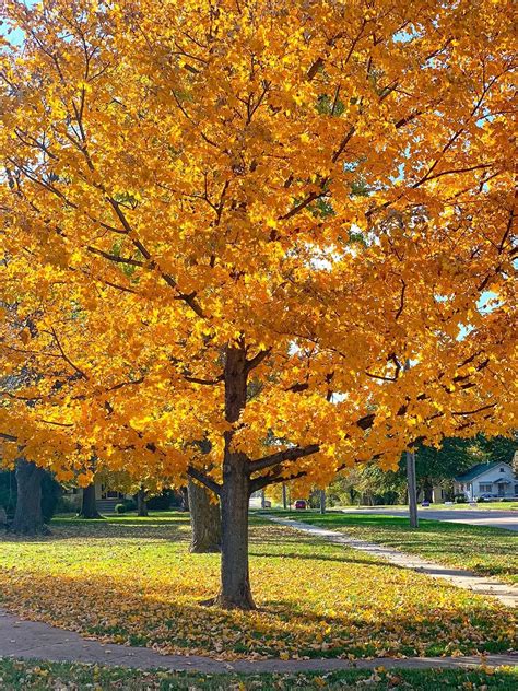 Vermont Fall Foliage Home Tour Artofit