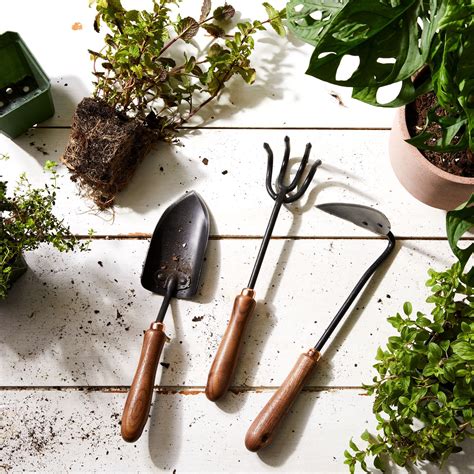 essential gardening tools  pros swear  garden tools garden
