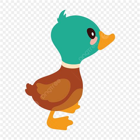 Cute Cartoon Ducks