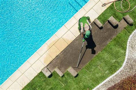 Pros And Cons Of Grass Around A Pool Gardenia Organic