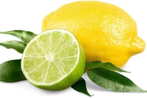 Are Limes Unripe Lemons The Ultimate Guide Food Champs