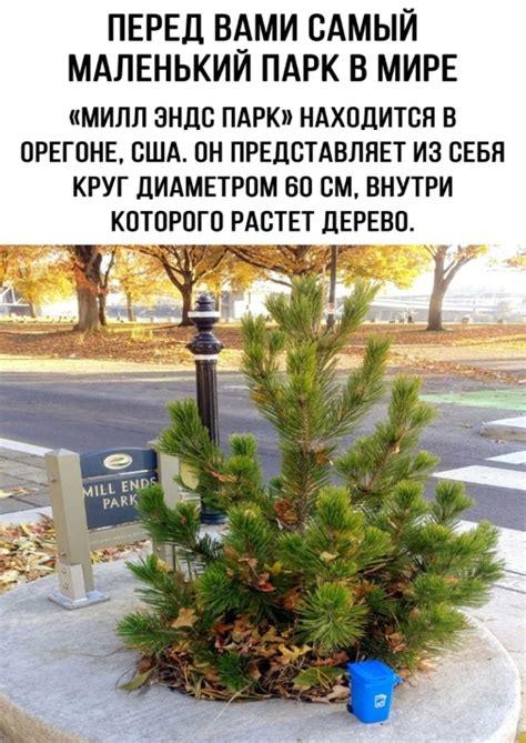 Диаметром 60см... | Пикабу