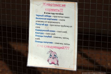 Почему нельзя кормить животных в зоопарках?: barsik_seacat — LiveJournal