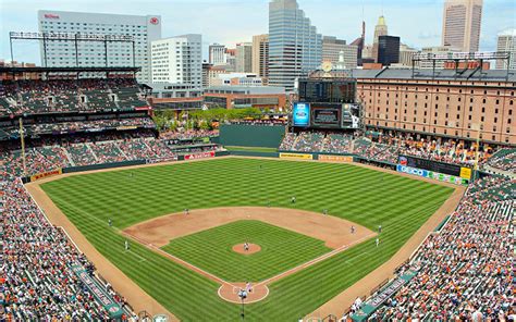 baltimore orioles stadium dude