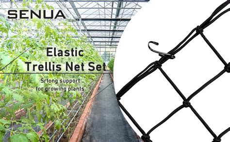 Senua Elastic Trellis For Grow Tent 70 X 70 80 X 80 Cm Plant Support Scrog Net Hydroponic Grow