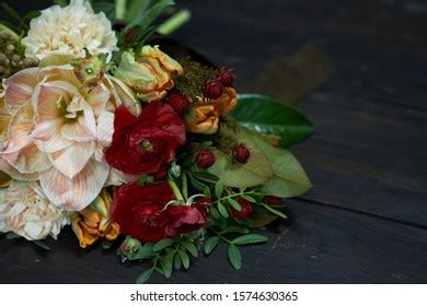 136 Naked Magnolia Images Stock Photos Vectors Shutterstock