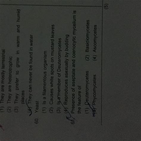 Presence Of Aseptate And Coenocytic Mycelium Is The Feature Of Filo