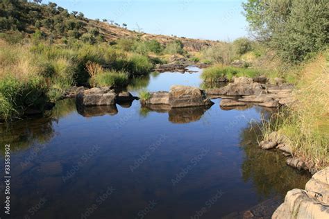 rio Stock Photo | Adobe Stock