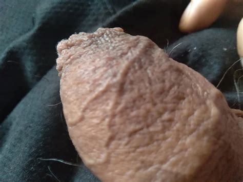 Monster Cock Excited To Fuck Hard Gay Handjob Porn Feat Providal XHamster