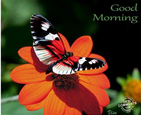 Good Morning Desi Comments