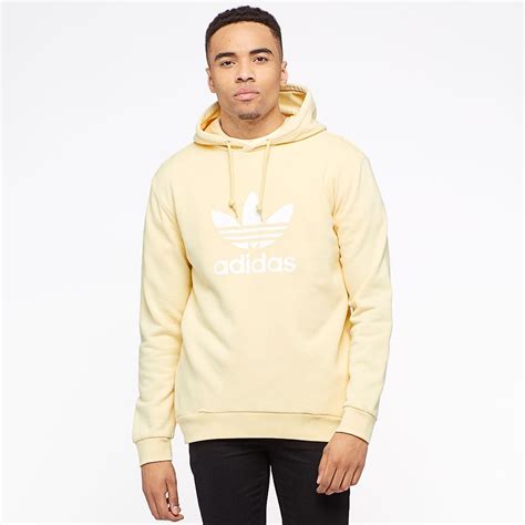 Mens Clothing - adidas Originals Trefoil Hoody - Mist Sun - CW1243 ...