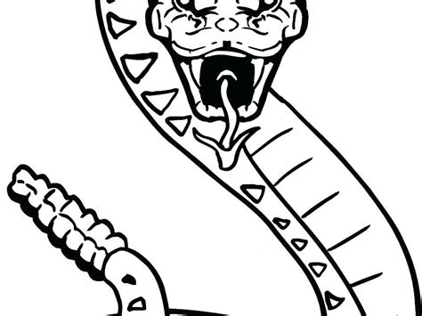 Diamondback Rattlesnake Coloring Page At Getdrawings Free Download