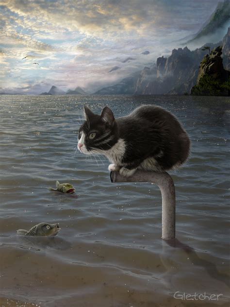 Морские кошки - лучшие друзья подводников - Demiart