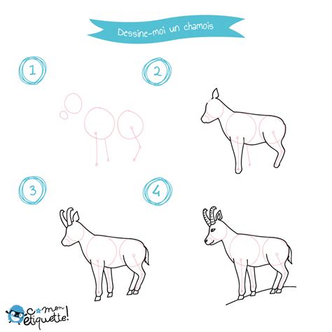 Les Animaux De La Montagne