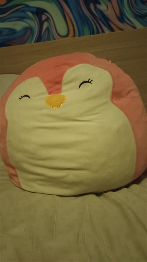 How do you know the squishmallows names? This is a very old pink