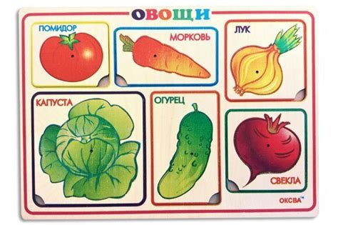 Художественные рамки - вкладыши «Овощи»
