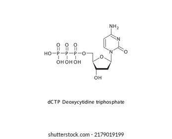 Dcmp Deoxycytidine Monophosphate Nucleotide Molecule Strcuture Stock ...