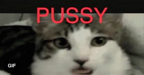 Pussy Destroyer 9GAG