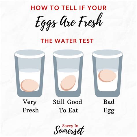 How To Test Eggs For Freshness Check Eggs For Freshness Egg Test For Freshness Egg Float Test