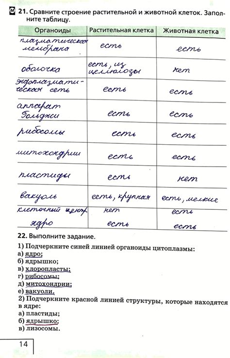 (Решено)Стр.14 ГДЗ Рабочая тетрадь Сонин 6 класс по биологии