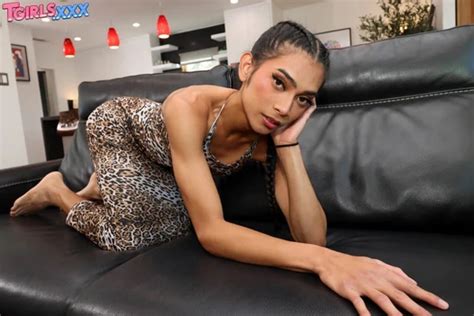 Magnifique Queue Shemale Ladyboy Ladyboy Porn XHamster