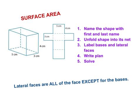 Surface Area Of Nets Math Showme