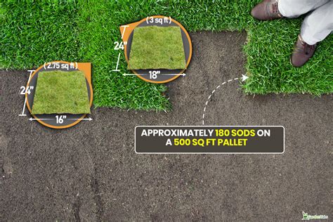 pallets  grass     tayla currey blog