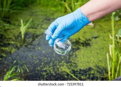 water sample river water intake water stock photo  shutterstock