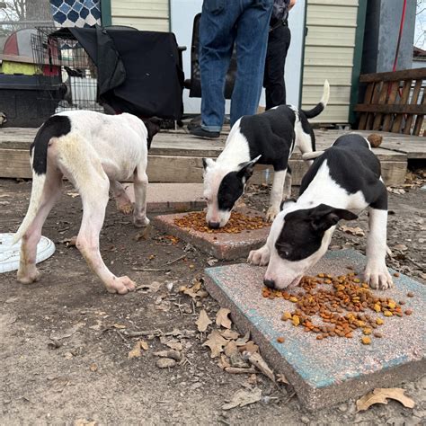 4D screenings are coming to the movie theater Gun Barrel City TX 7