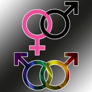 디종 게이 사우나 및 목욕탕 가이드 2025 리뷰 게이 지도 사진 Travel Gay