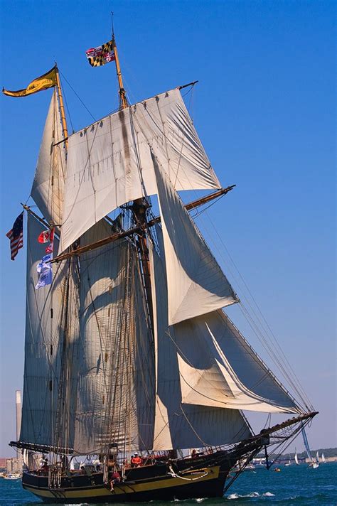 Tall Ships In Toronto Harbour Tall Ships Old Sailing Ships Sailing