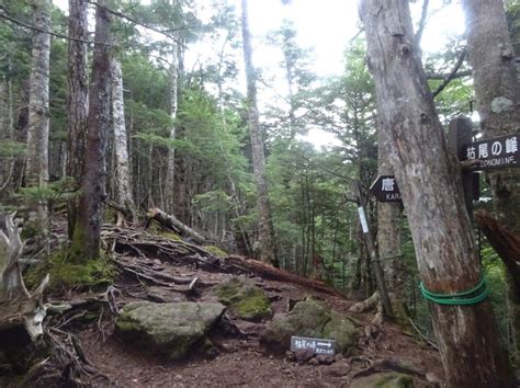 北八ヶ岳 天狗岳～唐沢鉱泉から反時計回り周回 （茅野市／小海町） 信州しみじみ山旅