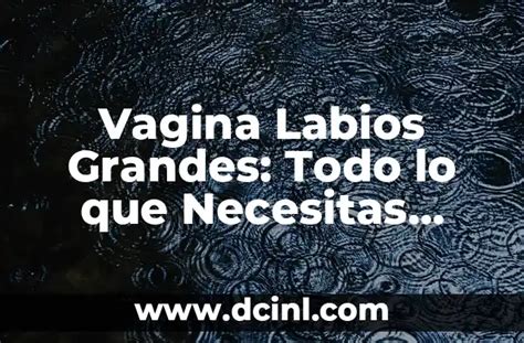 Vagina Labios Grandes Todo Lo Que Necesitas Saber