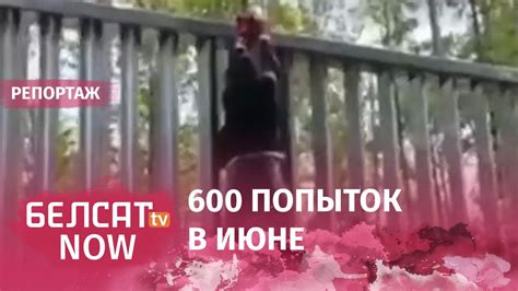 Мигранты штурмуют 5 метровый забор на границе с Польшей - YouTube