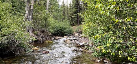 Wolf Creek Campground Markleeville Roadtrippers