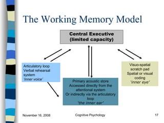 models  memory