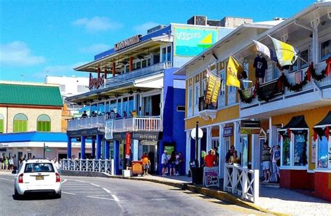 Desde George Town Excursión guiada por Gran Caimán con Parque Botánico