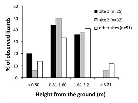perpendicular height   ground   conraui individuals total
