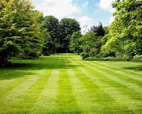 Lawn mowing patterns: 6 designs plus tips on how to do it | Gardeningetc