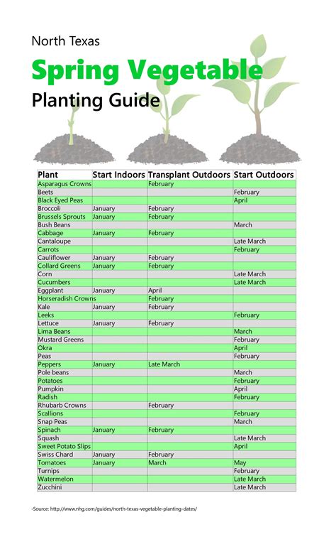 Garden Planting Guide For Central Texas – Yoiki Guide