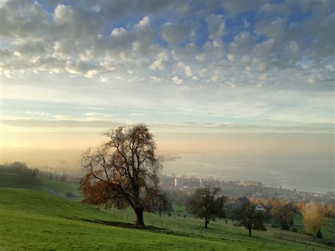 HDR in ProCamera iOS App - Brilliant photos with greater dynamics