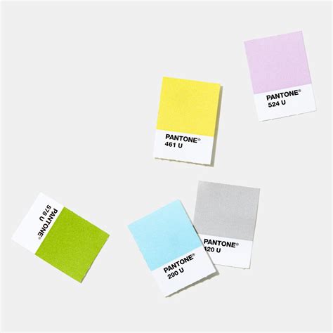 Pantone Chips Book Color | Wyvr Robtowner