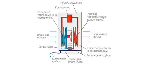 Промышленные системы осушения воздуха для производств: типы и сферы ...