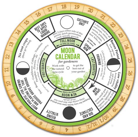 Moon Phase Planting Calendar 2025 Tanja S Unger
