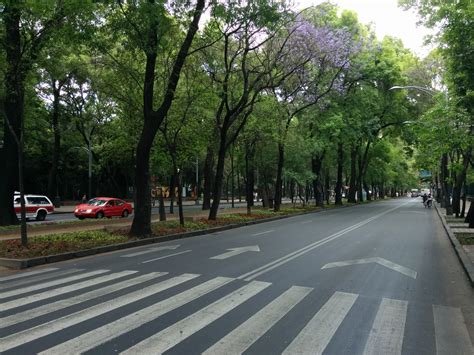 Mexico City | Experiences of a Travel Nerd