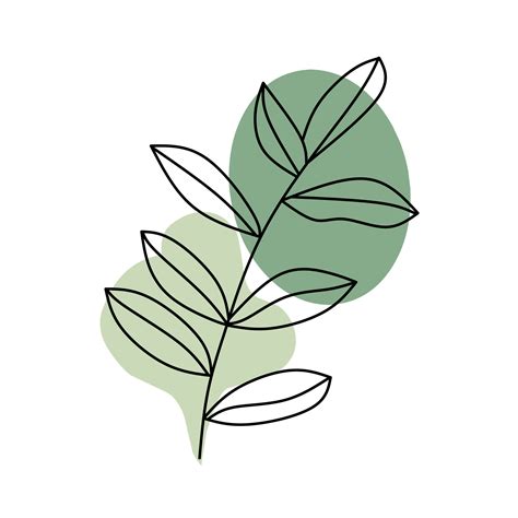 botanical wall art vector set  art leaves drawing  abstract